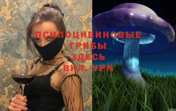 спайс Арсеньев