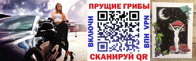 кракен tor  Покров  Псилоцибиновые грибы мицелий  цена  